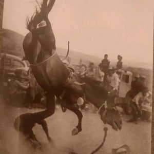 Meet your Posher, Joseph